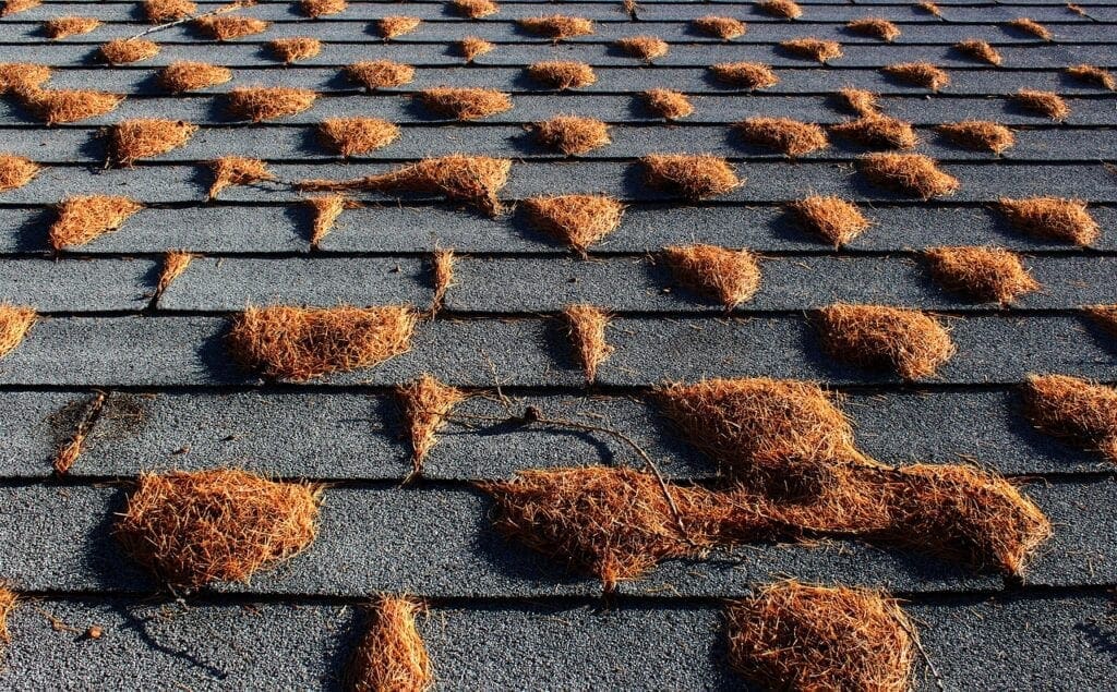 how long do florida shingle roofs last