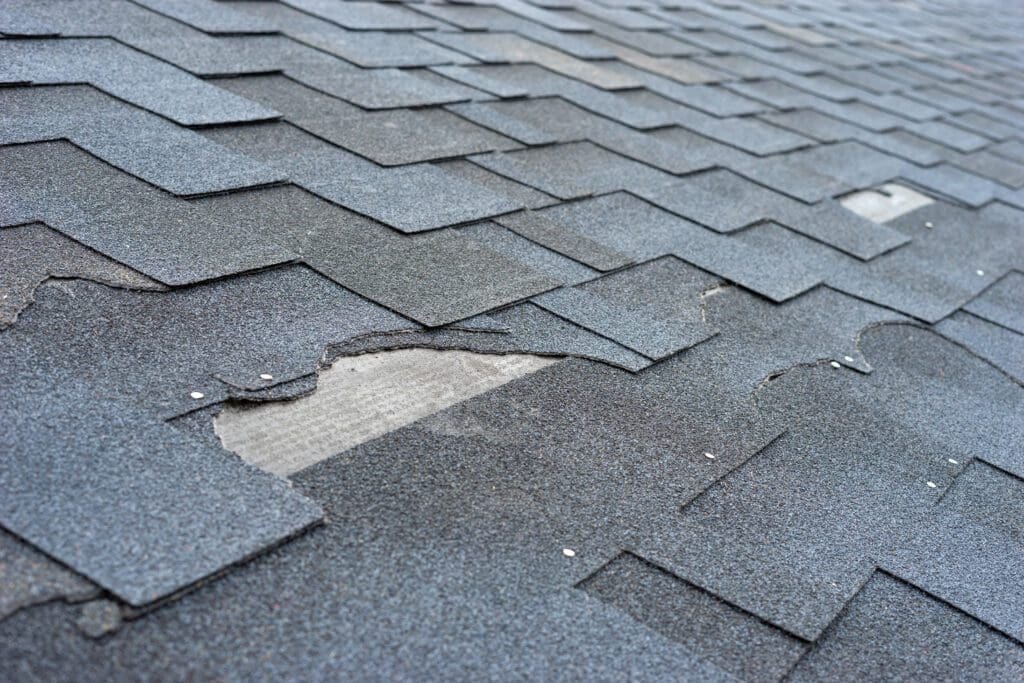 broken shingles must be replaced promptly
