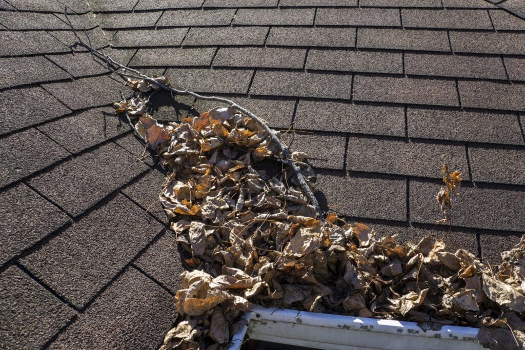 clean asphalt shingle roof